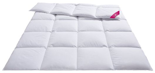 RIBECO Daunenbettdecke "Johanna" extrawarm Füllung 80Daunen20Federn Bezug B günstig online kaufen