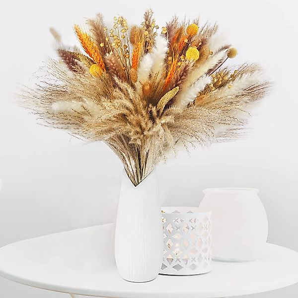 Trockenblume Pampasgras Trockenblumen Deko, 100 Stück günstig online kaufen