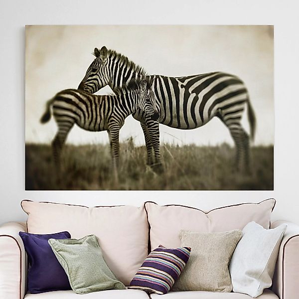 Leinwandbild Tiere - Querformat Zebrapaar günstig online kaufen