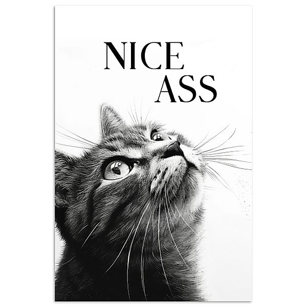 MuchoWow Poster Katzen - Netter Arsch günstig online kaufen