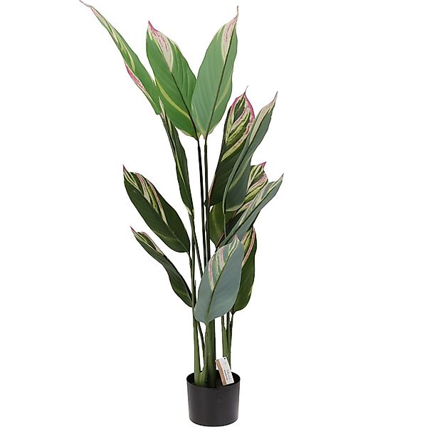 Kunstpflanze Zimmerpflanze, Home & styling collection, günstig online kaufen