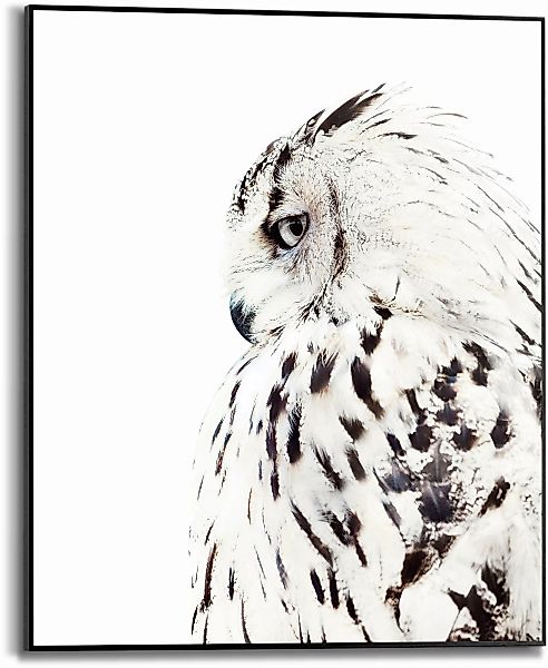 Reinders Bild mit Rahmen "White Owl", (1 St.) günstig online kaufen