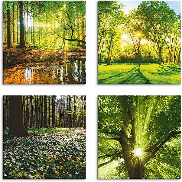 Artland Leinwandbild Wald Bach Frühling Windrosen günstig online kaufen