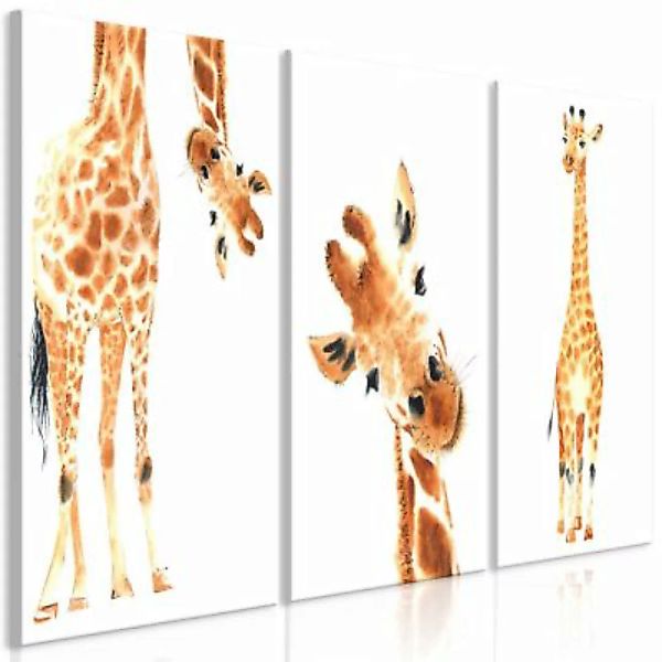 artgeist Wandbild Funny Giraffes (3 Parts) weiß-kombi Gr. 60 x 30 günstig online kaufen
