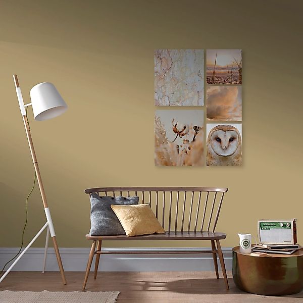 Art for the home Leinwandbild "Set Natur" Set, 5 Stk. tlg. günstig online kaufen