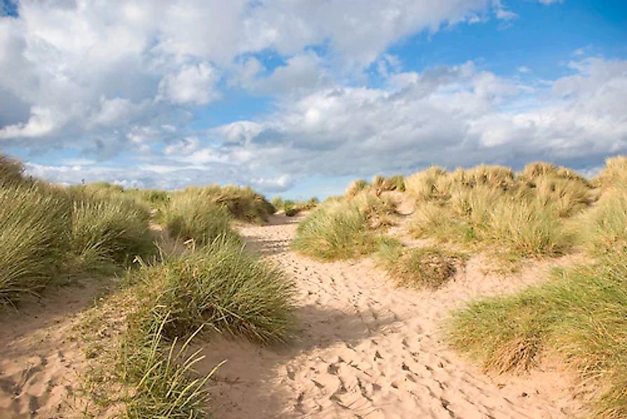 Papermoon Fototapete »bunt« günstig online kaufen