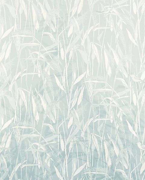 Komar Vliestapete »Digitaldruck Vlies - Whisper World - Größe 200 x 250 cm« günstig online kaufen