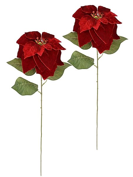 I.GE.A. Kunstblume "Samt-Poinsettia" günstig online kaufen