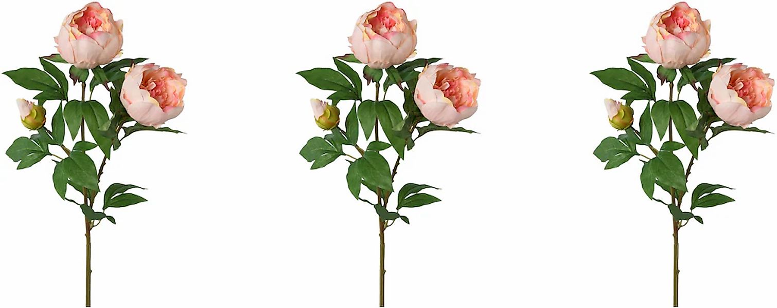 Creativ green Kunstblume "Peonienzweig" günstig online kaufen