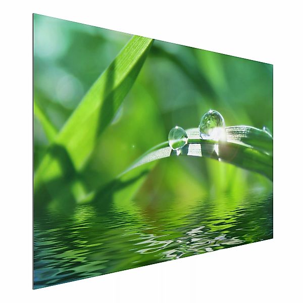 Alu-Dibond Bild - Querformat 3:2 Green Ambiance II günstig online kaufen