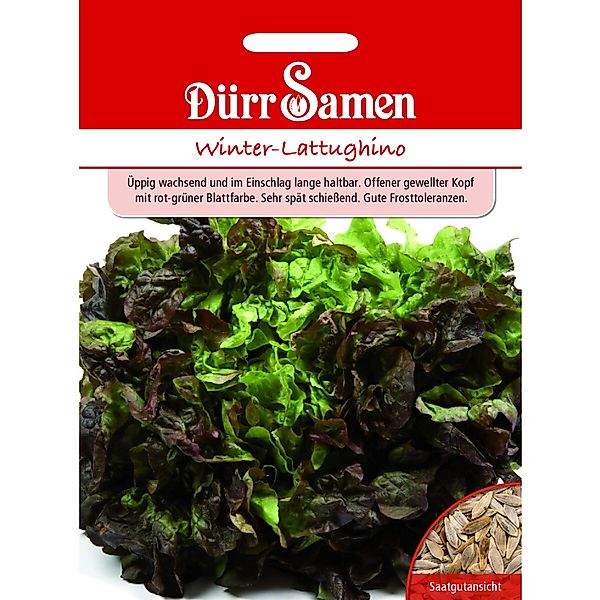 Dürr Samen Winter-Lattughino Saatgut günstig online kaufen
