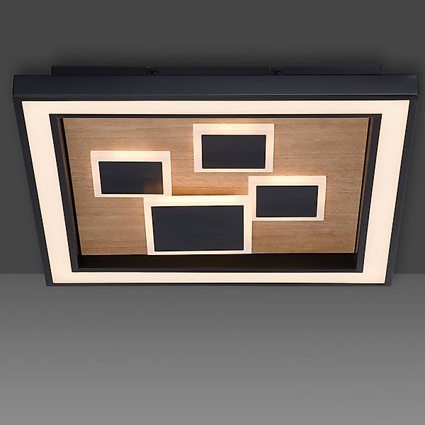 Paul Neuhaus LED Deckenleuchte »ELIZA«, 2 flammig, Leuchtmittel LED-Board-L günstig online kaufen