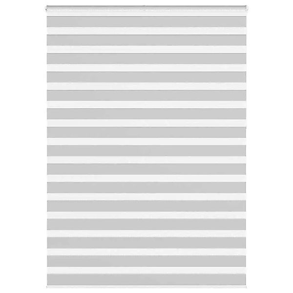 vidaXL Doppelrollo Hellgrau 165x230 cm Stoffbreite 160,9 cm Polyester 40145 günstig online kaufen