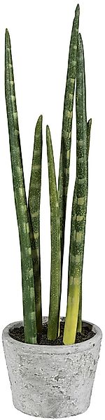 Kunstpflanze Sanseveria, Creativ green, Höhe 40 günstig online kaufen