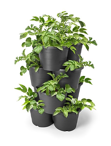 dynamic24 Pflanzkübel, Säulentopf Pflanzturm Kräuter Topf günstig online kaufen