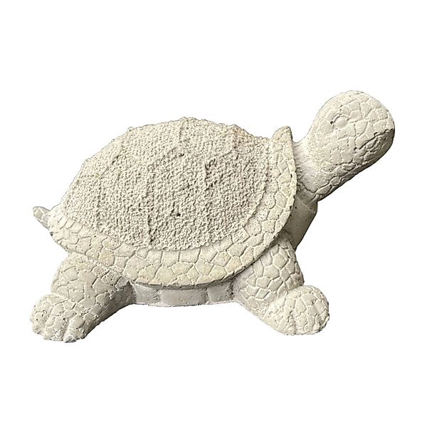 ZGM Betonfigur Schildkröte SAMMY günstig online kaufen