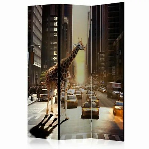 artgeist Paravent Giraffe in the Big City [Room Dividers] grau-kombi Gr. 13 günstig online kaufen