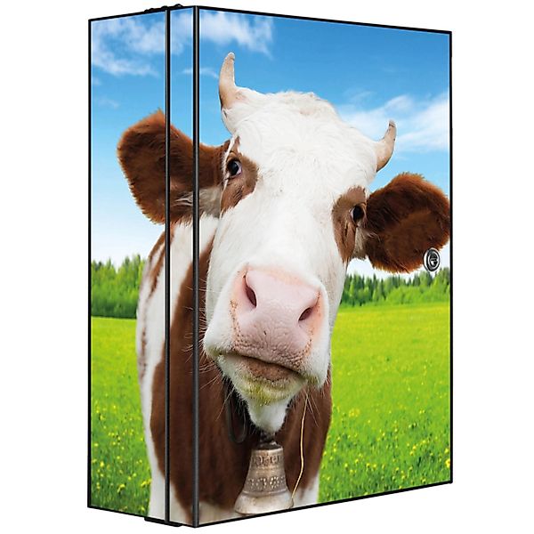 Banjado XXL Medizinschrank Abschliessbar 35x46x15cm Arzneischrank Anthrazit günstig online kaufen