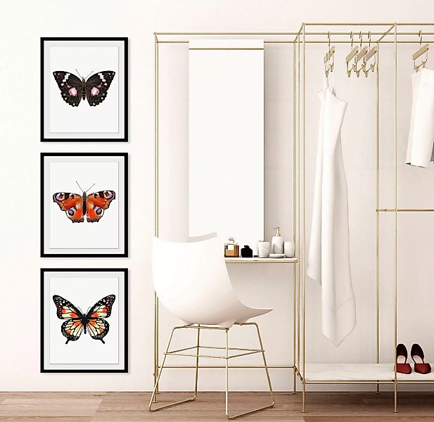 queence Bild "Marissa", Schmetterlinge, (1 St.) günstig online kaufen