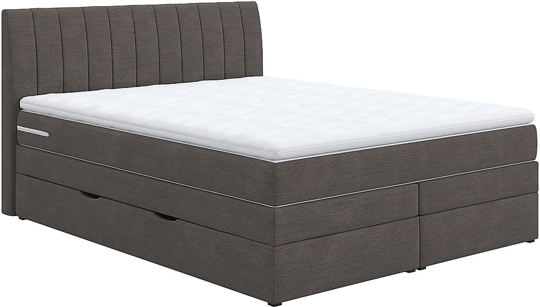 COTTA Boxspringbett »Shark inkl. Bettkasten und Topper«, erhältlich in den günstig online kaufen