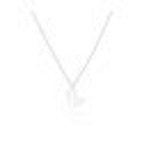 Anhänger mit Kette 925-Sterling Silber Glänzend 42cm Steinbock günstig online kaufen