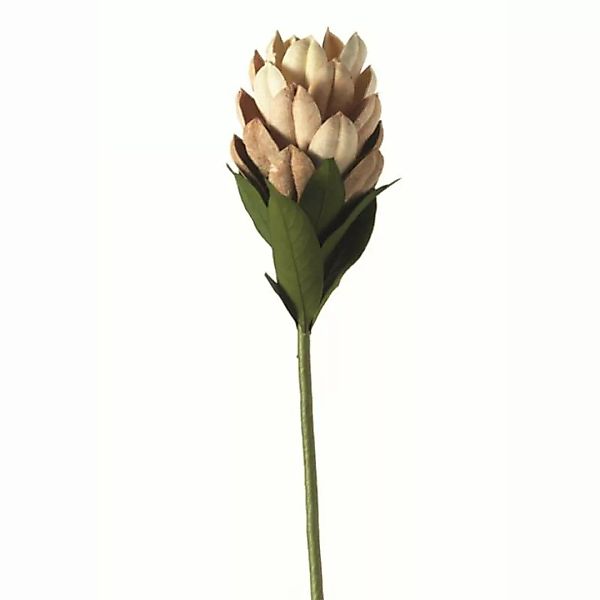 Leonardo Kunstpflanzen & -blumen Blume geschlossen 50 cm natur (62972) NEU günstig online kaufen