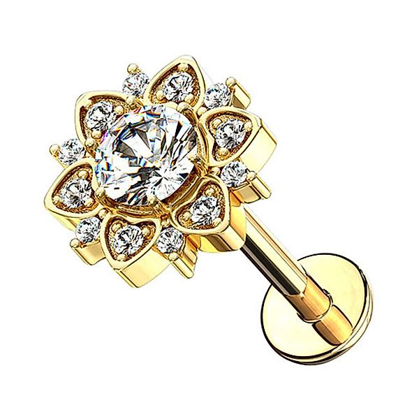 Taffstyle Piercing-Set Ohr Tragus Knorpel Labret günstig online kaufen