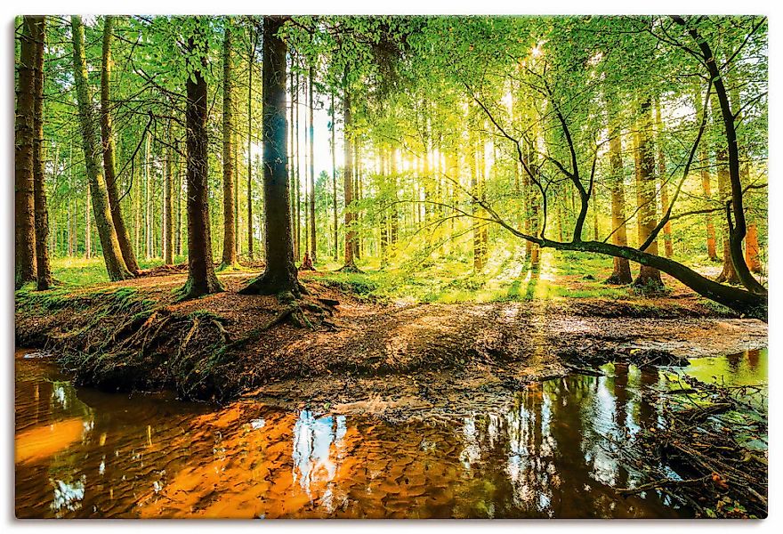 Artland Wandbild "Wald mit Bach" Wald 1 Stk. tlg. als Alubild, Outdoorbild, günstig online kaufen