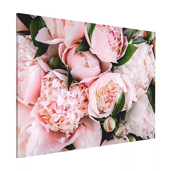 Magnettafel Blumen - Querformat 4:3 Rosa Pfingstrosen mit Blättern günstig online kaufen