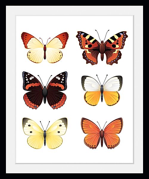 queence Bild »Elina«, Schmetterlinge-Kunst-Insekten-historische Ereignisse, günstig online kaufen