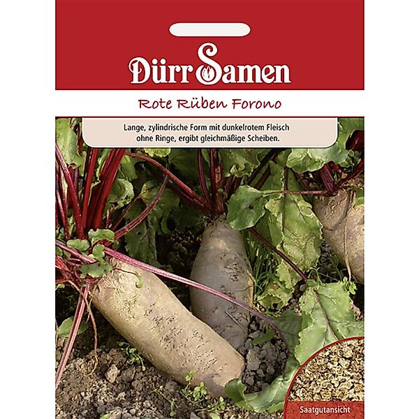 Dürr Samen Rote Rüben Forono Saatgut günstig online kaufen
