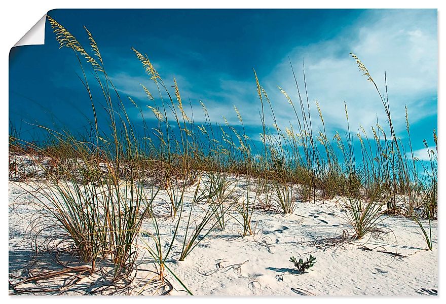 Artland Wandbild »Sanddüne und Gräser«, Strand, (1 St.) günstig online kaufen