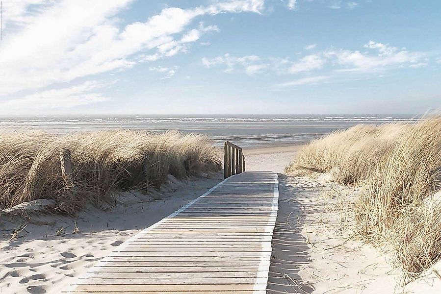 Reinders! Deco-Panel Nordsee Dünen günstig online kaufen