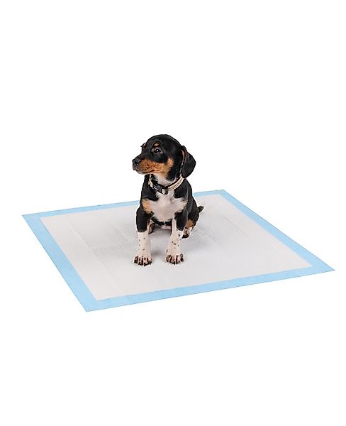 lionto Hundematte lionto Welpenunterlage Hygieneunterlage für günstig online kaufen