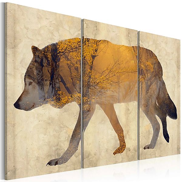 Wandbild - The Wandering Wolf günstig online kaufen