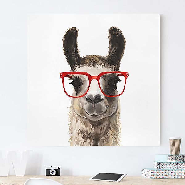 Leinwandbild - Quadrat Hippes Lama mit Brille II günstig online kaufen