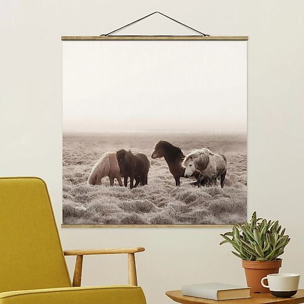 Stoffbild mit Posterleisten Island Wildpferde günstig online kaufen