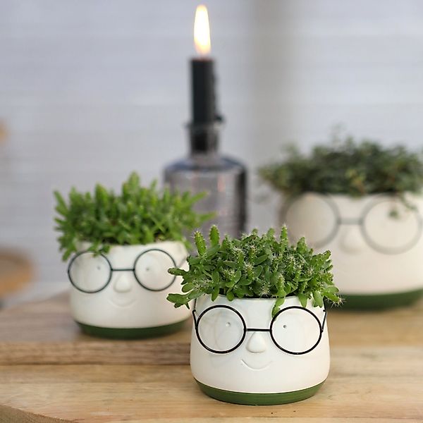 Annastore Übertopf Blumenübertöpfe in witzigem Design günstig online kaufen