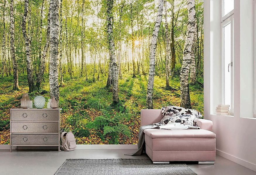 Komar Vliestapete »Digitaldruck Vlies - Birch Trees - Größe 400 x 250 cm«, günstig online kaufen