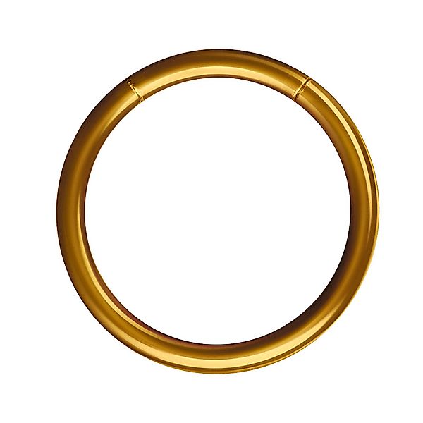 Taffstyle Nasenpiercing Segment Septum Universal Piercing günstig online kaufen