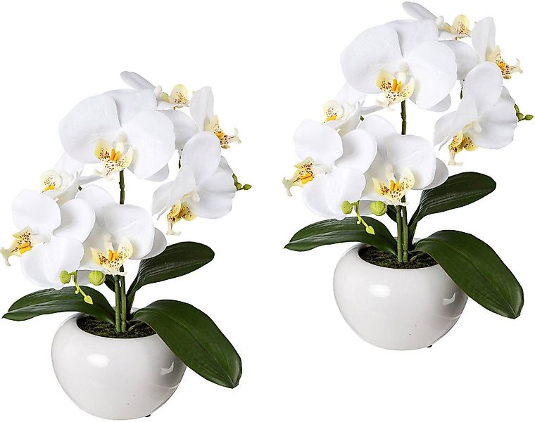 Kunstpflanze Orchidee, Creativ green, Höhe 35 günstig online kaufen