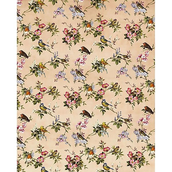 Komar Fototapete Blumen und Vögel Multicolor 200 x 250 cm 611171 günstig online kaufen
