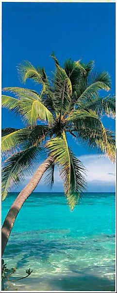 Papermoon Fototapete »Palm Tree - Türtapete«, matt günstig online kaufen
