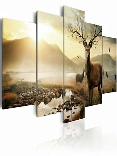 artgeist Wandbild Hirsch in der Tundra mehrfarbig Gr. 200 x 100 günstig online kaufen