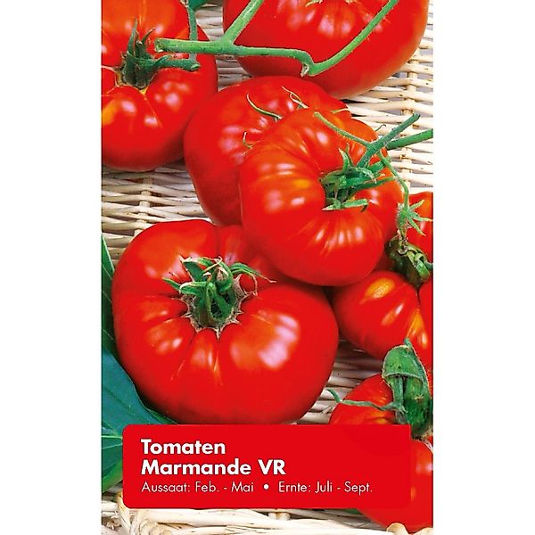 Tomate Marmande VR günstig online kaufen