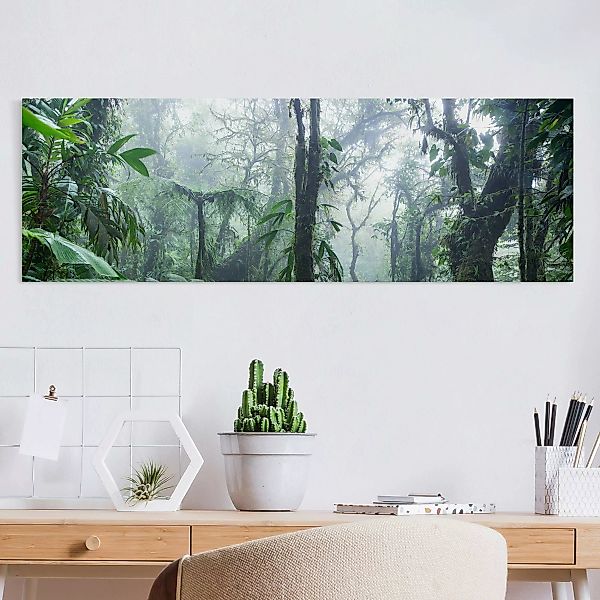Leinwandbild Monteverde Nebelwald günstig online kaufen