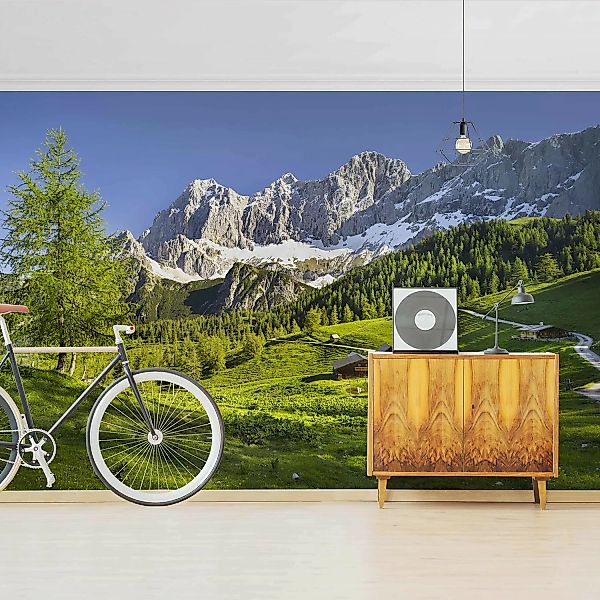 Bilderwelten Fototapete Steiermark Almwiese grün Gr. 432 x 290 günstig online kaufen