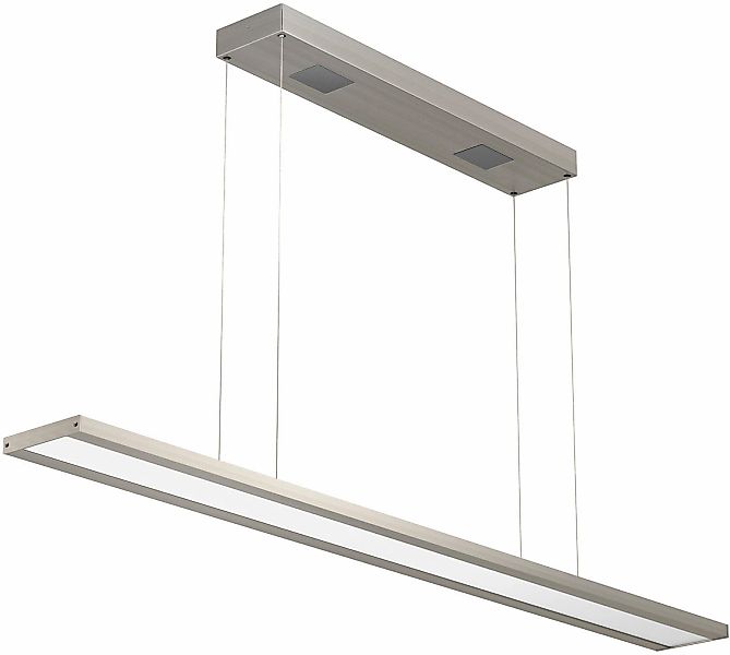 EVOTEC LED Pendelleuchte »CLASSIC TEC BASIC«, 1 flammig, Leuchtmittel LED-B günstig online kaufen