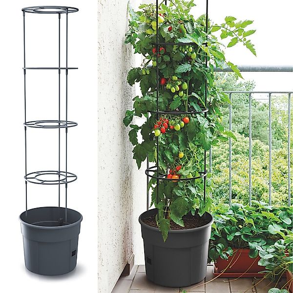 nm_trade Pflanzkübel Tomatentopf Blumentopf Tomatenkübel Topf günstig online kaufen
