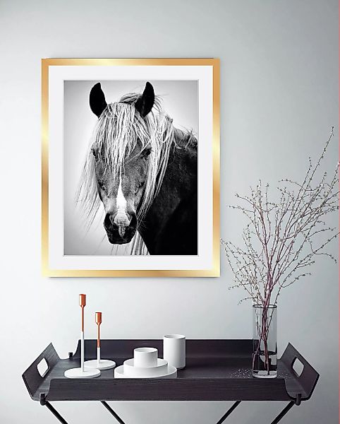 queence Bild »Pferdekopf« günstig online kaufen